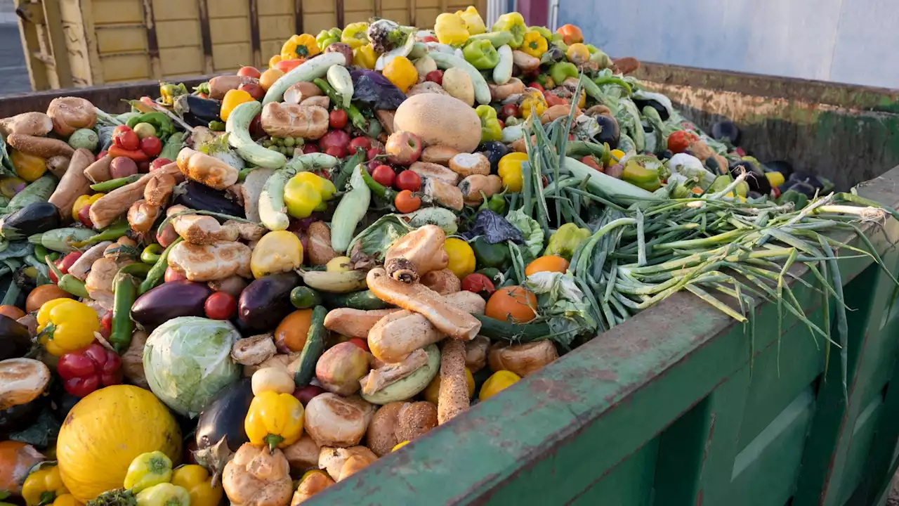 A Brazilian non-profit shows how a GPS-powered app can end food waste