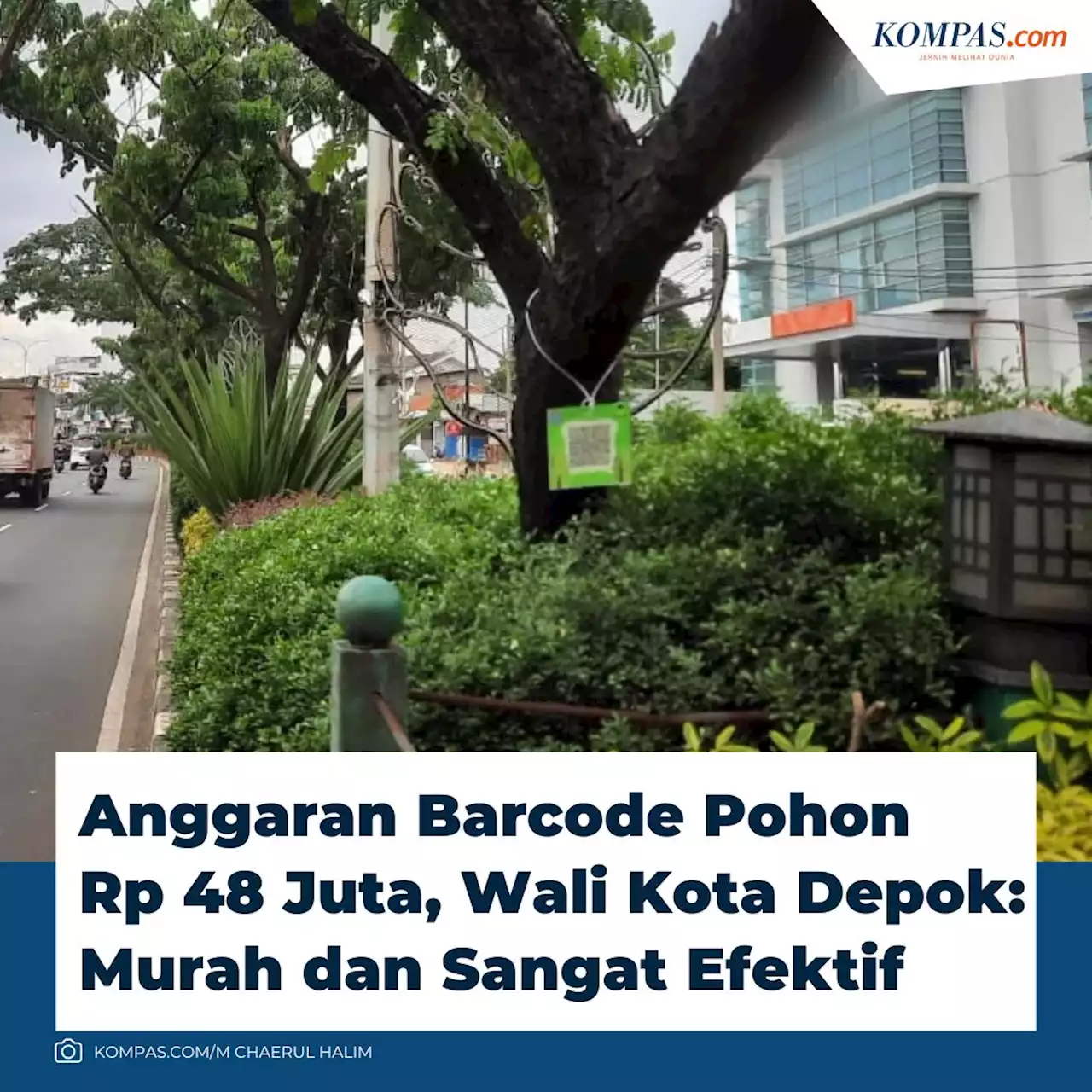 Anggaran Barcode Pohon Rp 48 Juta, Wali Kota Depok: Murah dan Sangat Efektif