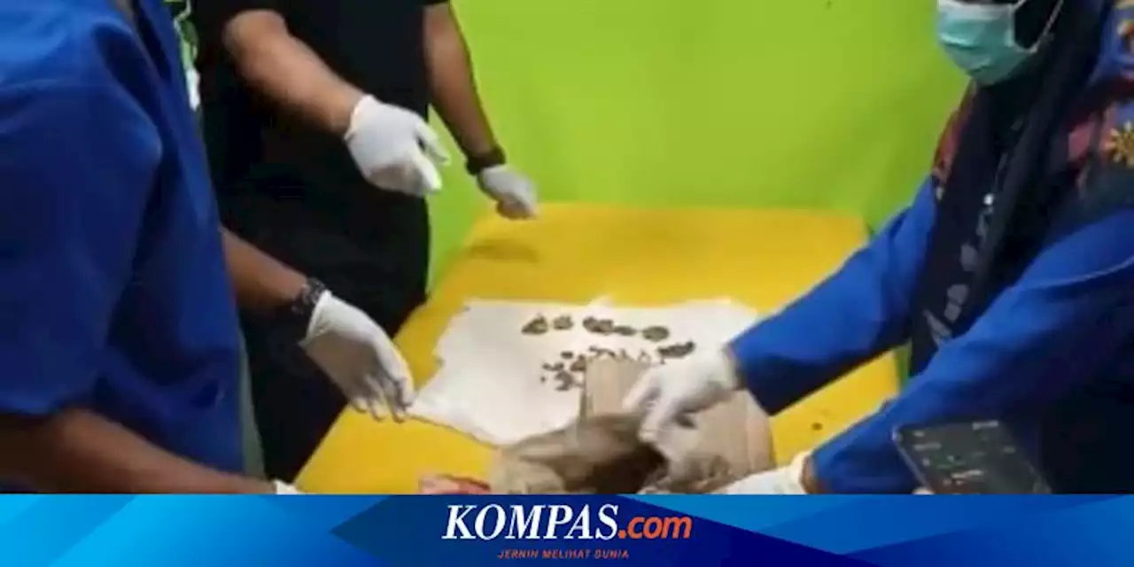 Warga di Bima Temukan Kerangka Bayi Terkubur di Kebun