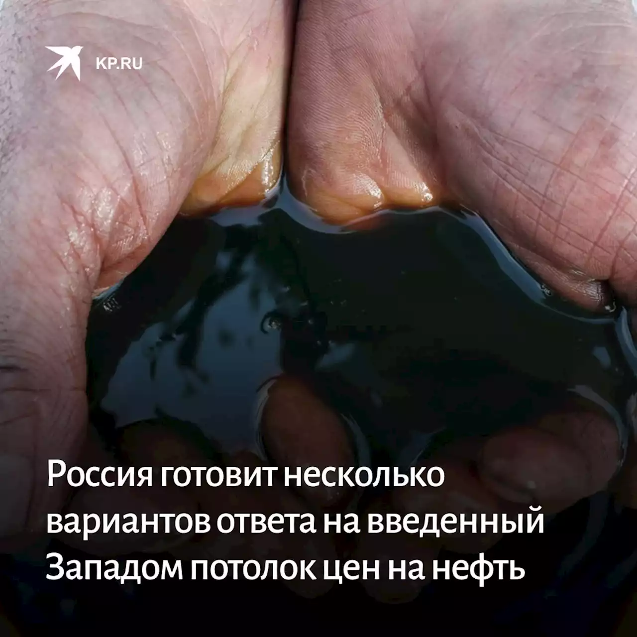 Россия готовит несколько вариантов ответа на введенный Западом потолок цен на нефть