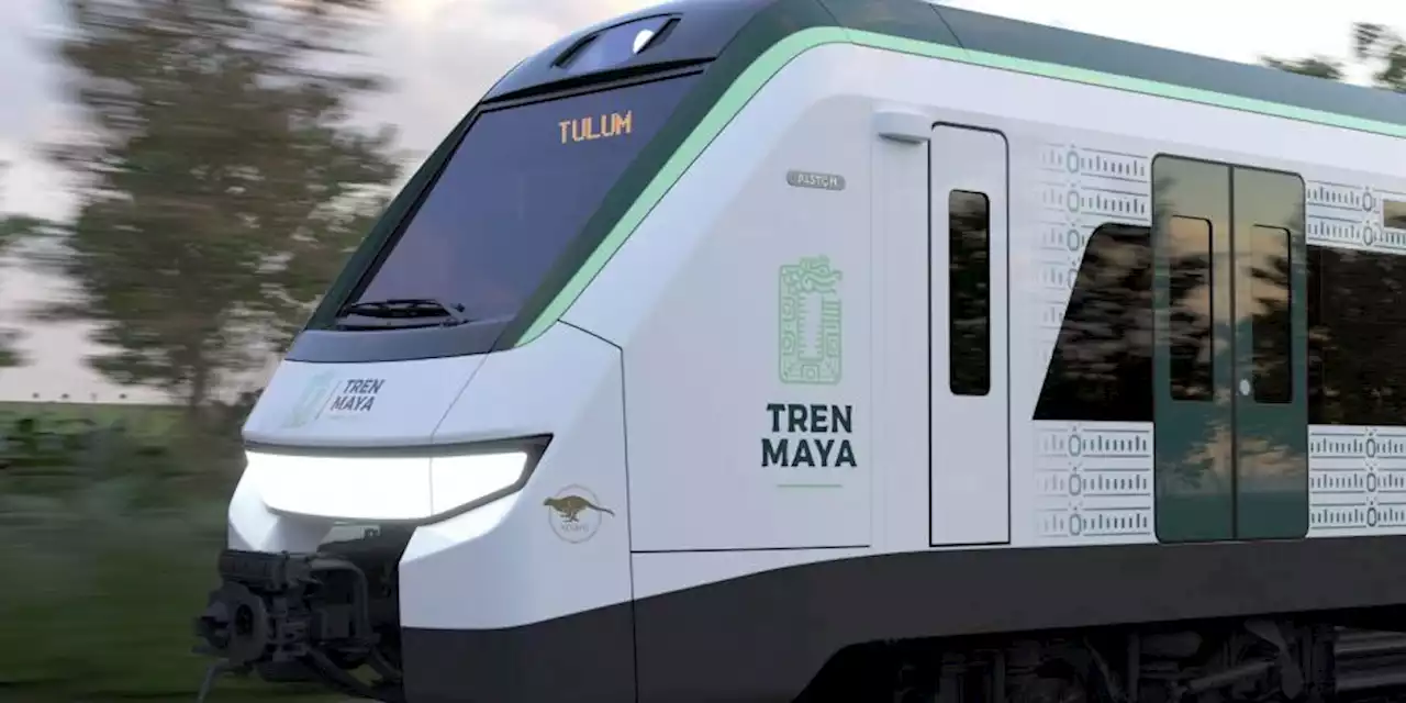 Preocupa a ONU el Tren Maya; pide al Gobierno respetar derechos y al medio ambiente