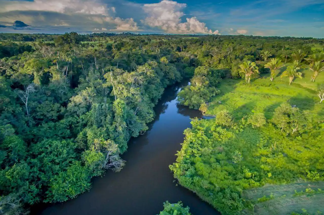 La COP15, sommet de la décennie pour sauver la nature, démarre