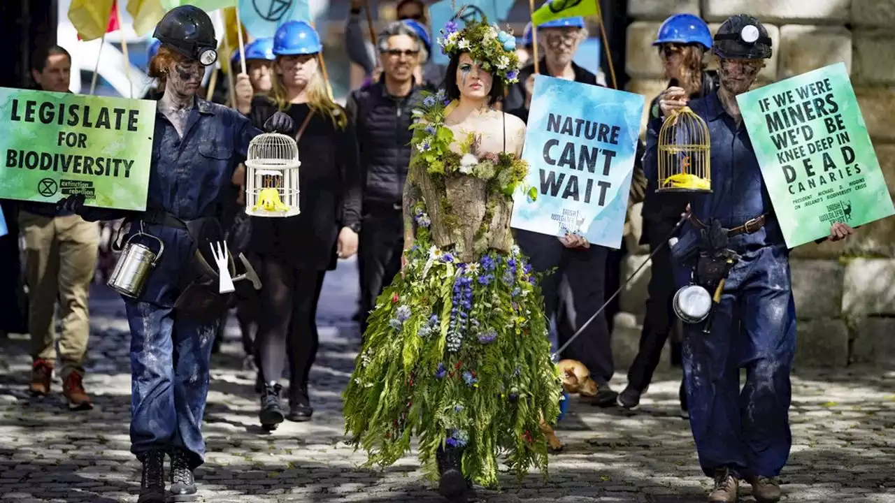 Biodiversité : à Montréal, un sommet mondial pour enrayer une crise sans précédent