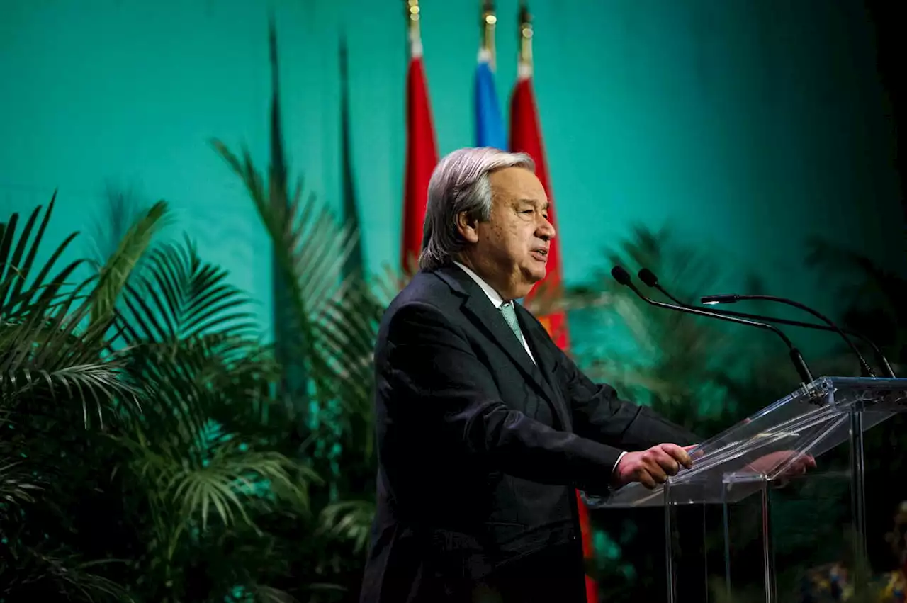 COP15 : l’humanité, une «arme d’extinction massive», dénonce António Guterres