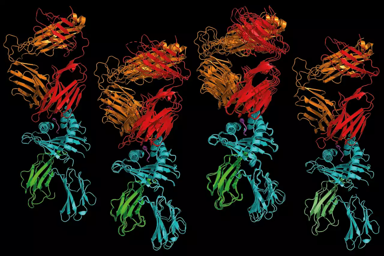 Evidence of autoimmunity's origins uncovered via new approach