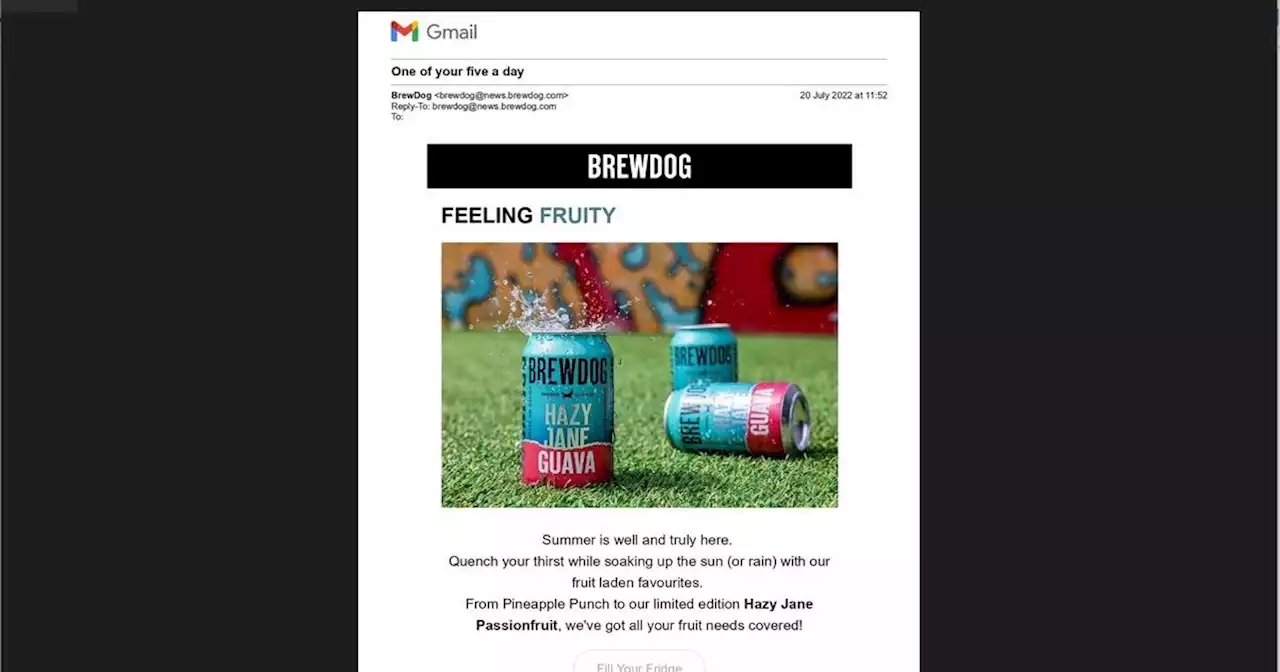 Brewdog advert which said fruit beer was 'one of your five a day' banned