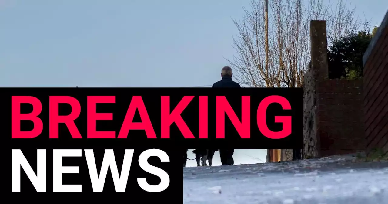 Arctic blast over UK sparks London's first Severe Weather Emergency Protocol