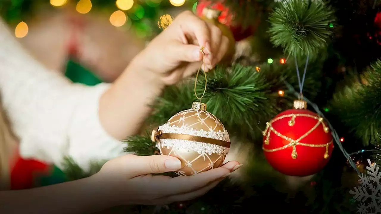 Por qué hay que armar el árbol de Navidad el 8 de diciembre