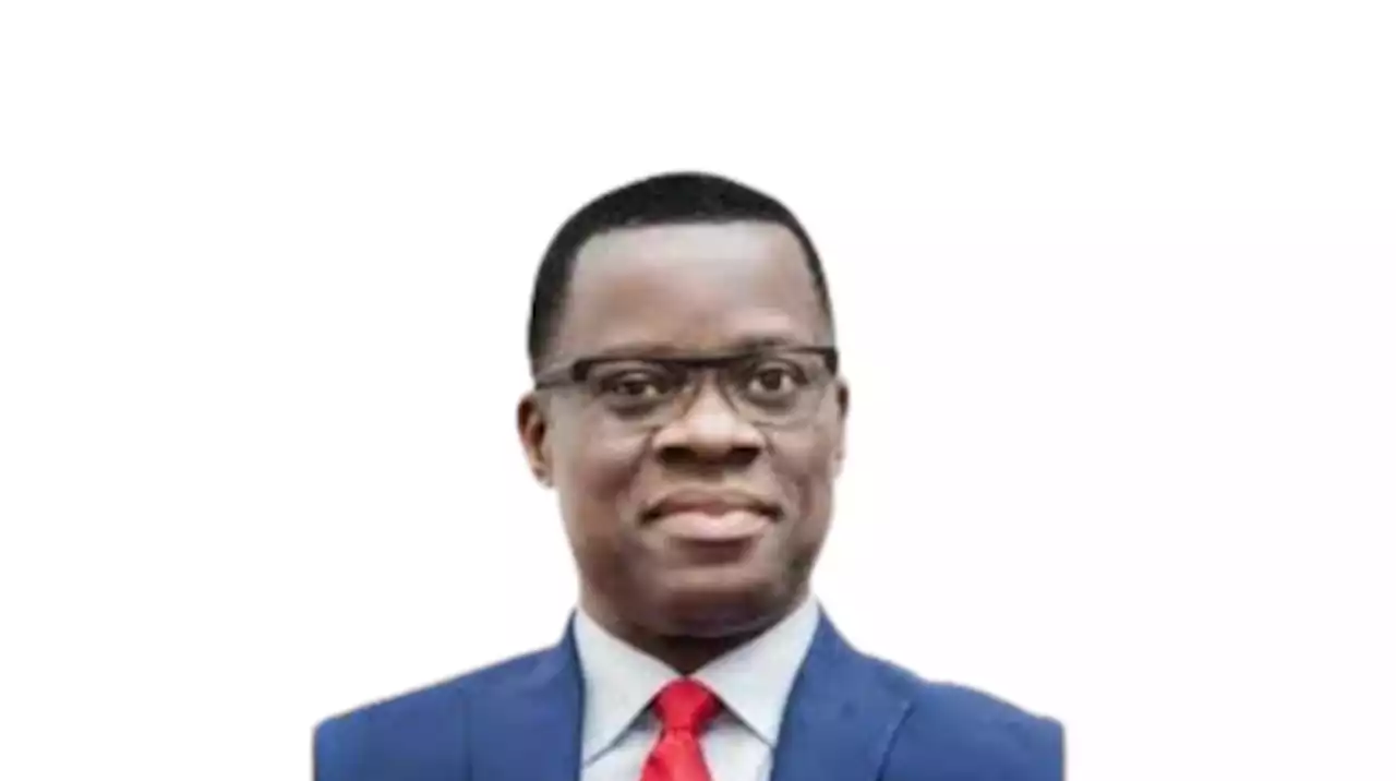 2023: BVAS to curtail rigging, electoral malpractices - Igini - Punch Newspapers