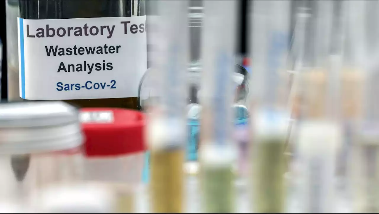 Santa Clara County COVID Levels Rising in Wastewater Samples