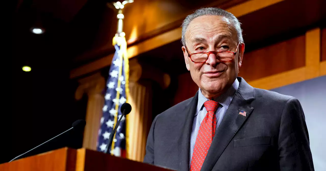 Schumer celebrates expanded Senate majority with Georgia win: 'It's big'