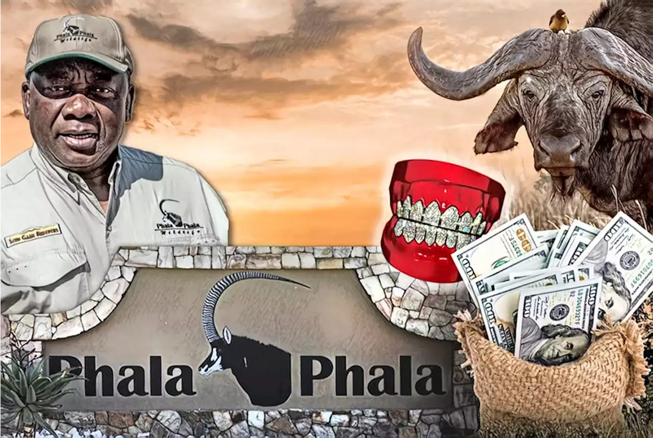 REPORTING NOTES | Hot money, dodgy deals and diamond teeth: How we investigated Phala Phala | News24