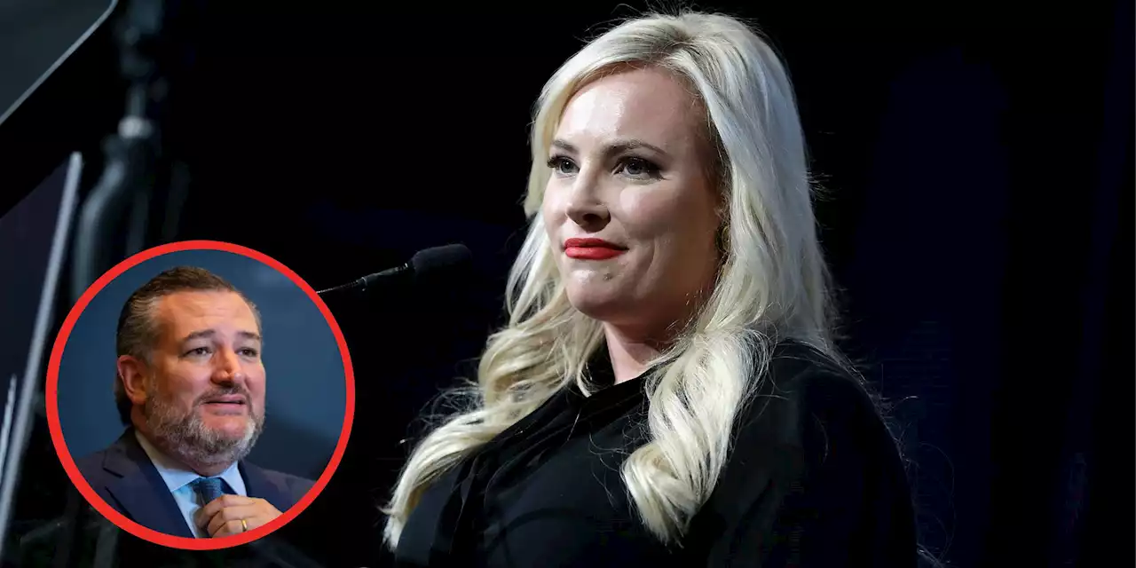 Meghan McCain calls it 'special hell' being teen daughter of Republicans