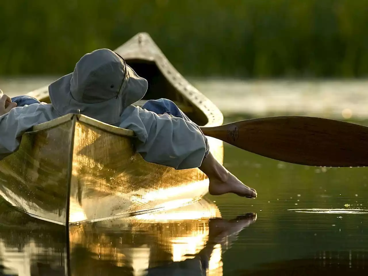 Ontario proposal puts wetlands at further risk: auditor, advocates