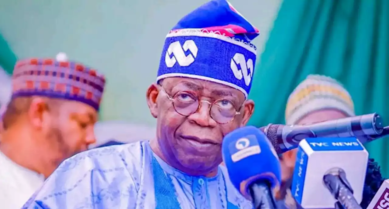 2023: Tinubu speaks on source of wealth, says Atiku, Obi incompetent