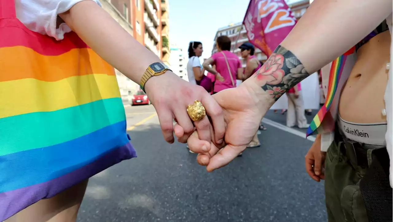 La Commissione Ue: tutelare i diritti dei genitori gay nello spostamento da un paese europeo all'altro