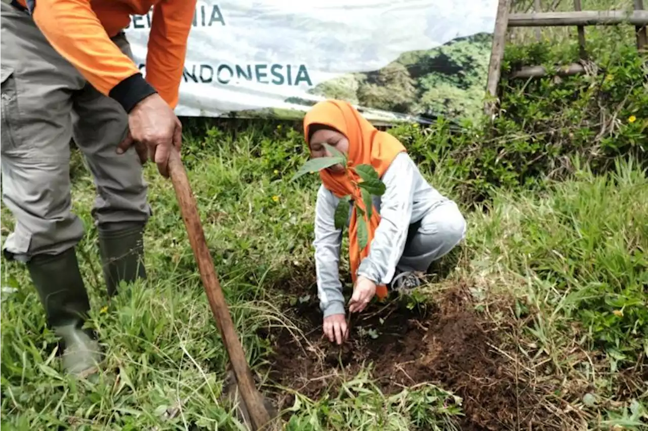 Ganjar Instruksikan Reboisasi di Hulu Pegunungan Kendeng Cegah Banjir |Republika Online