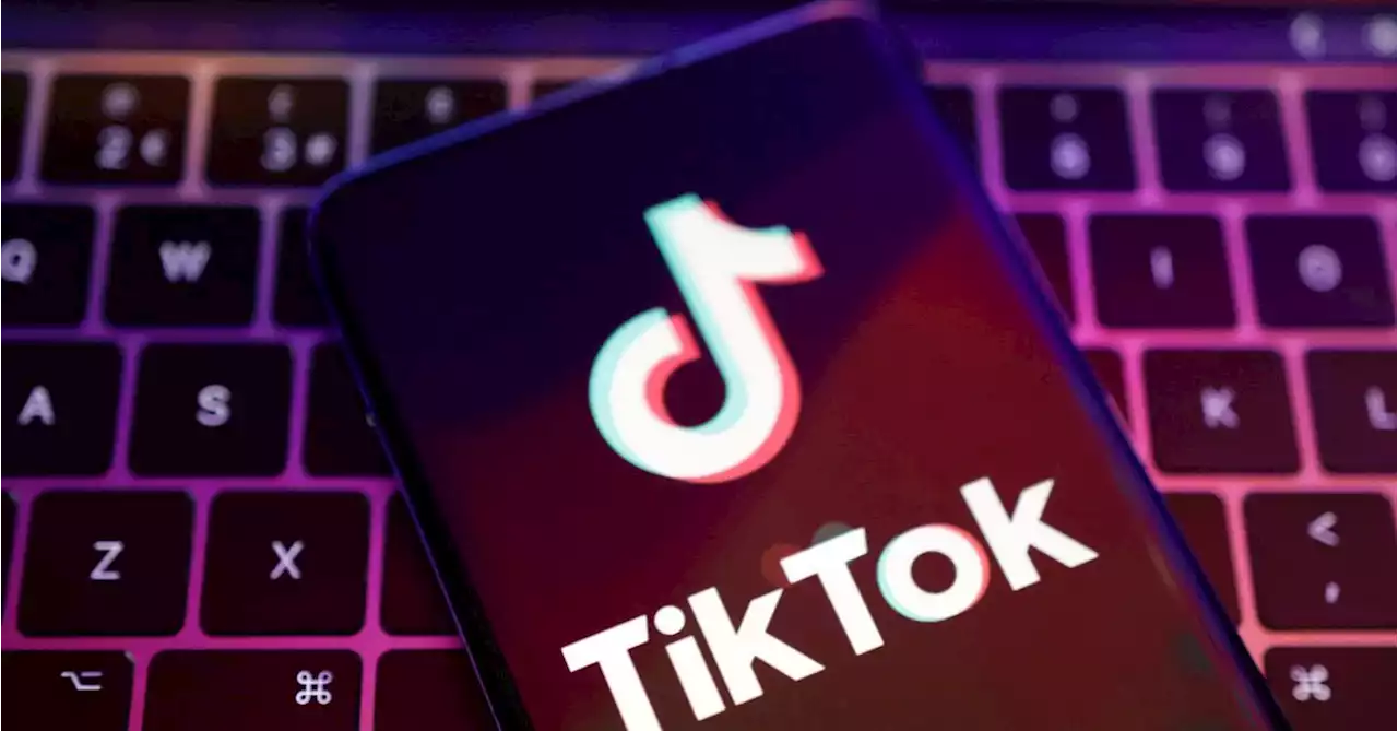 Maryland governor bans use of TikTok on state devices