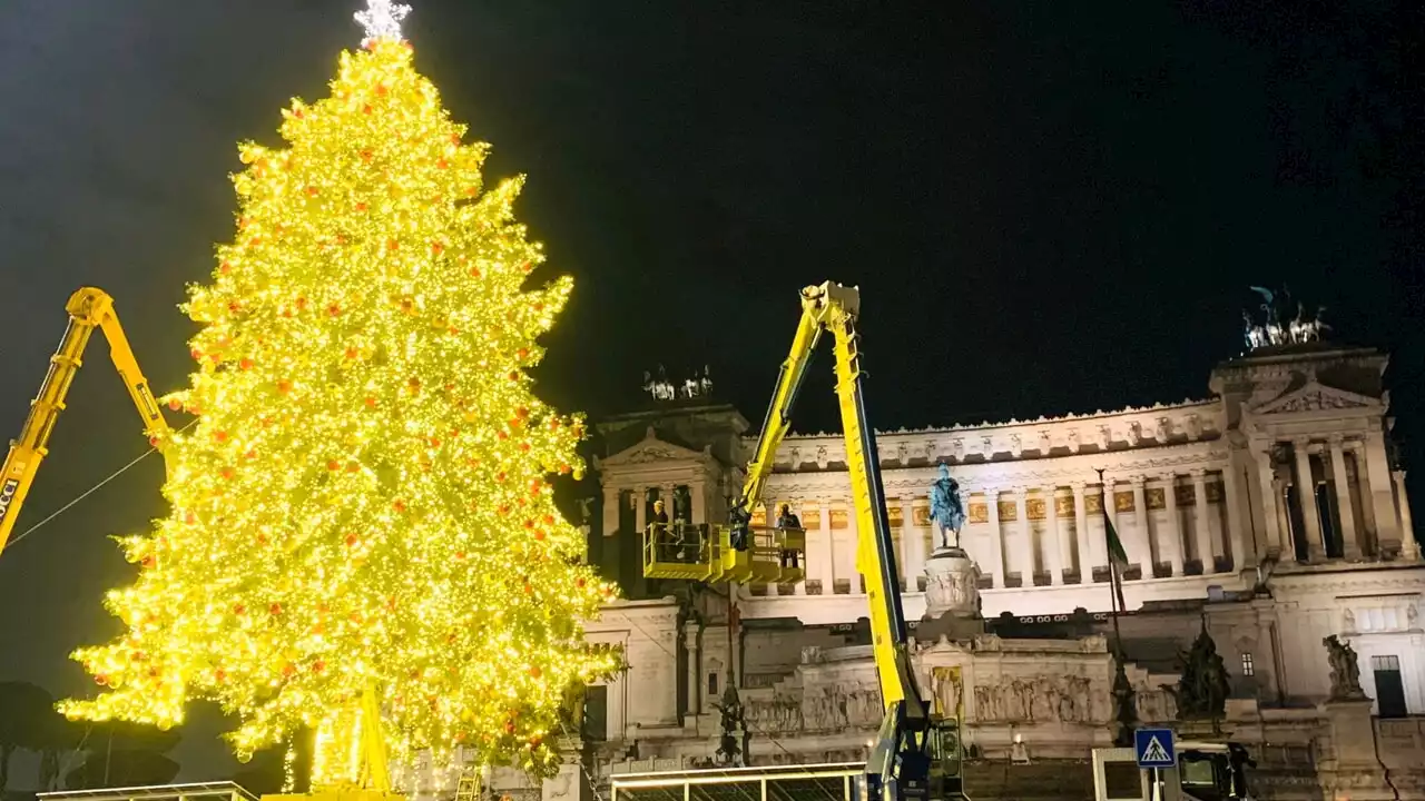 Anche Sgarbi contro l'albero sostenibile di piazza Venezia: 'Ho contattato la Sovrintendenza'