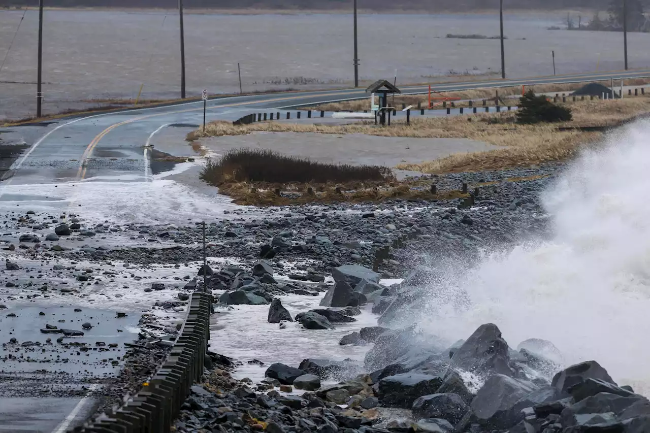 'Anything for a resilient future:' New association of climate change professionals aims to bridge gap between governments, public | SaltWire