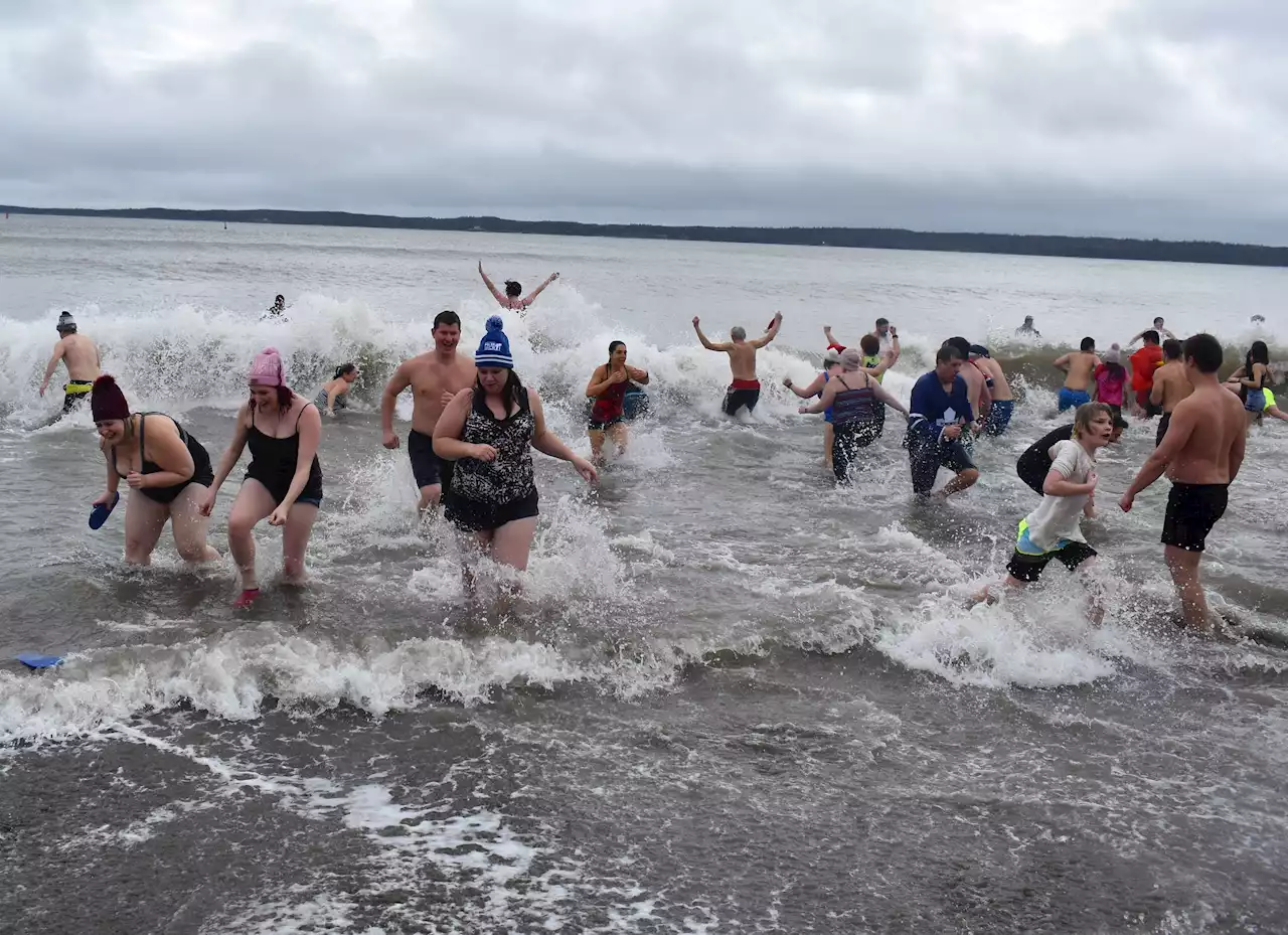 Port Morien Polar Dip celebrating 10th anniversary on New Year's Day | SaltWire