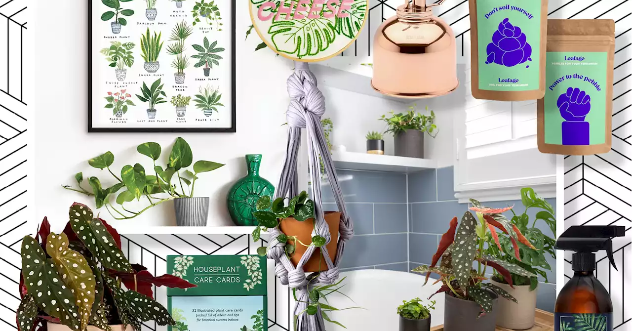 25 gift ideas for the plant parents in your life, from the practical to the unique