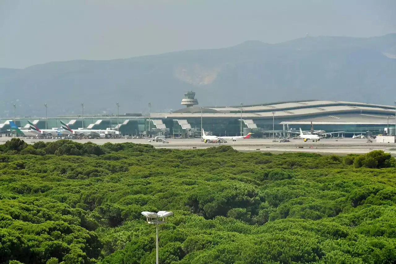 Espagne : une quinzaine de passagers s’échappent d’un avion après avoir provoqué un faux atterrissage d’urgence