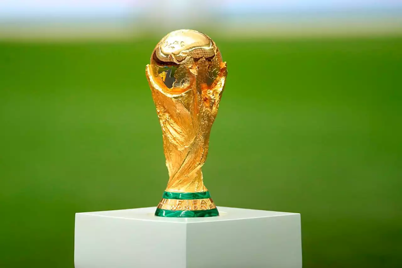 Além da taça da Copa do Mundo 2022, o que os vencedores ganham?