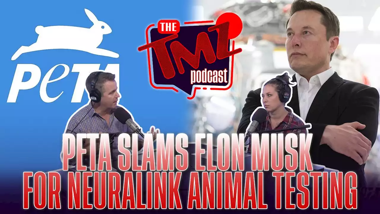 PETA Slams Elon Musk for Neuralink Animal Testing by The TMZ Podcast