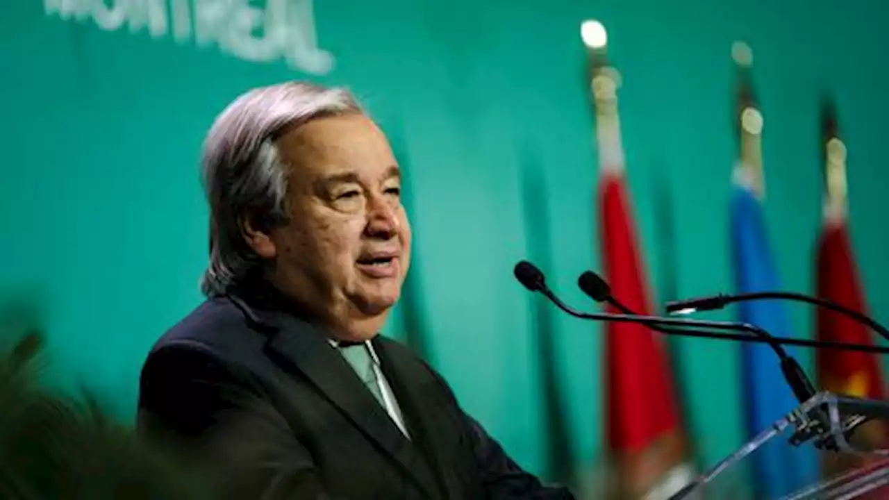 UN chief slams MNCs, warns 'humanity has become weapon of mass extinction'