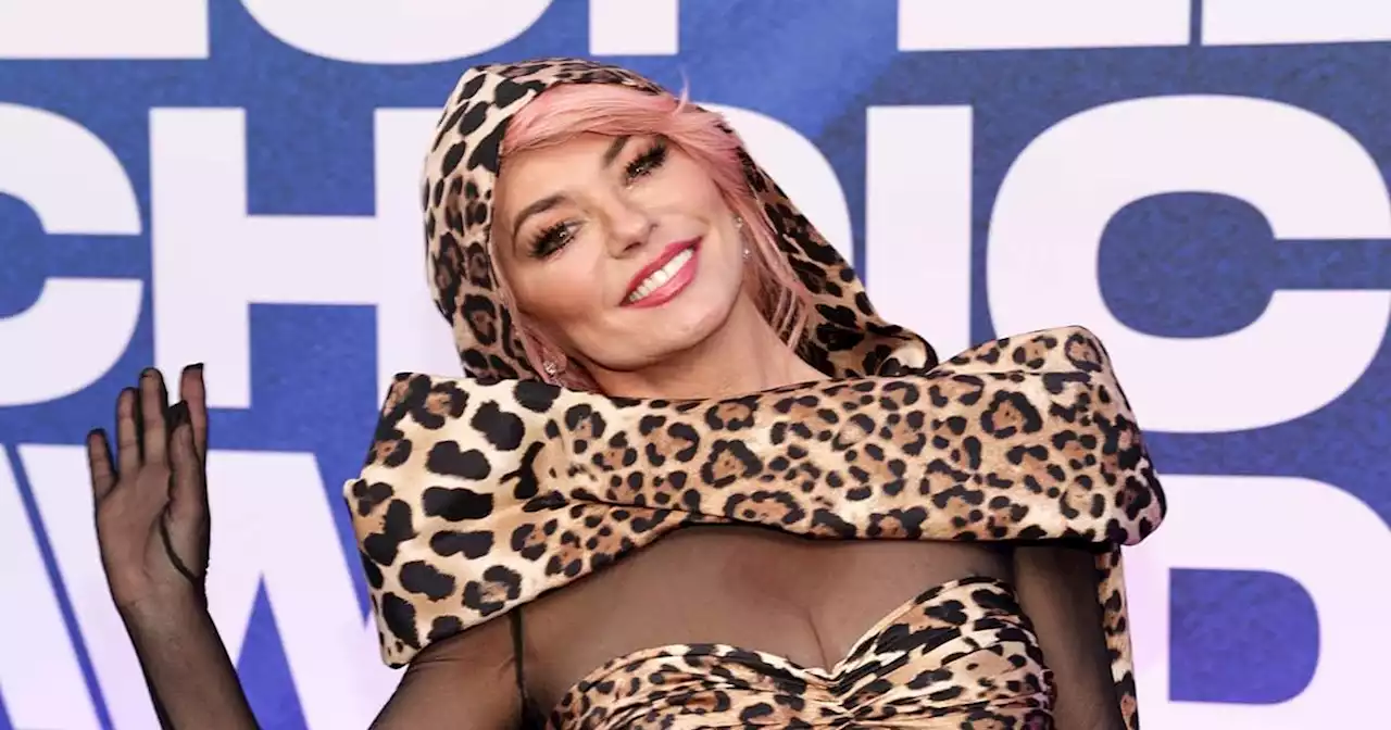 Shaina Twain Rocks Leopard, Gives Off Music Video Vibes at PCAs: Photos
