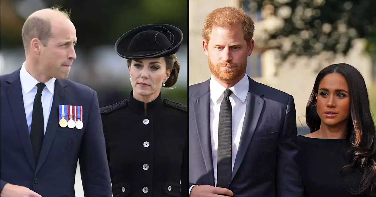 William and Kate Were 'Flummoxed' Over Harry and Meghan's Netflix Trailer