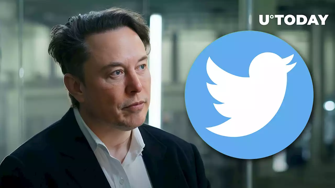 'Deal of the Year': New Elon Musk Crypto Scam Targeting Twitter Users