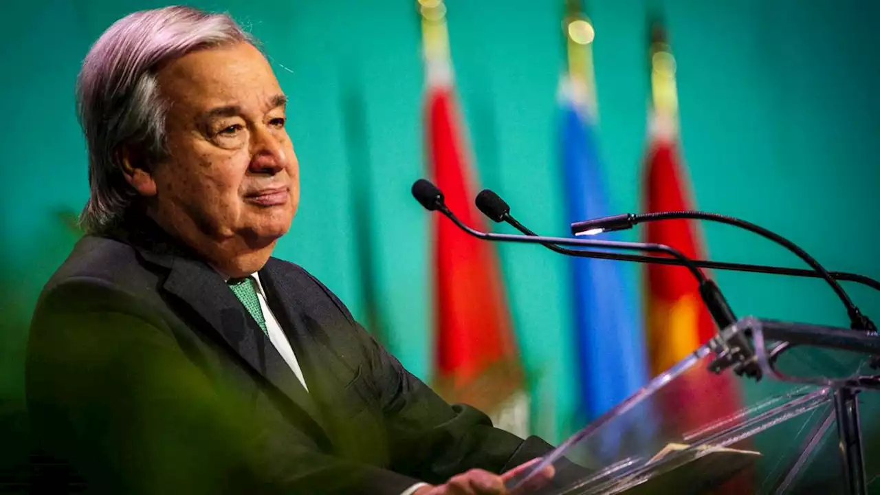 'We are treating nature like a toilet,' UN Secretary-General says as biodiversity conference kicks off