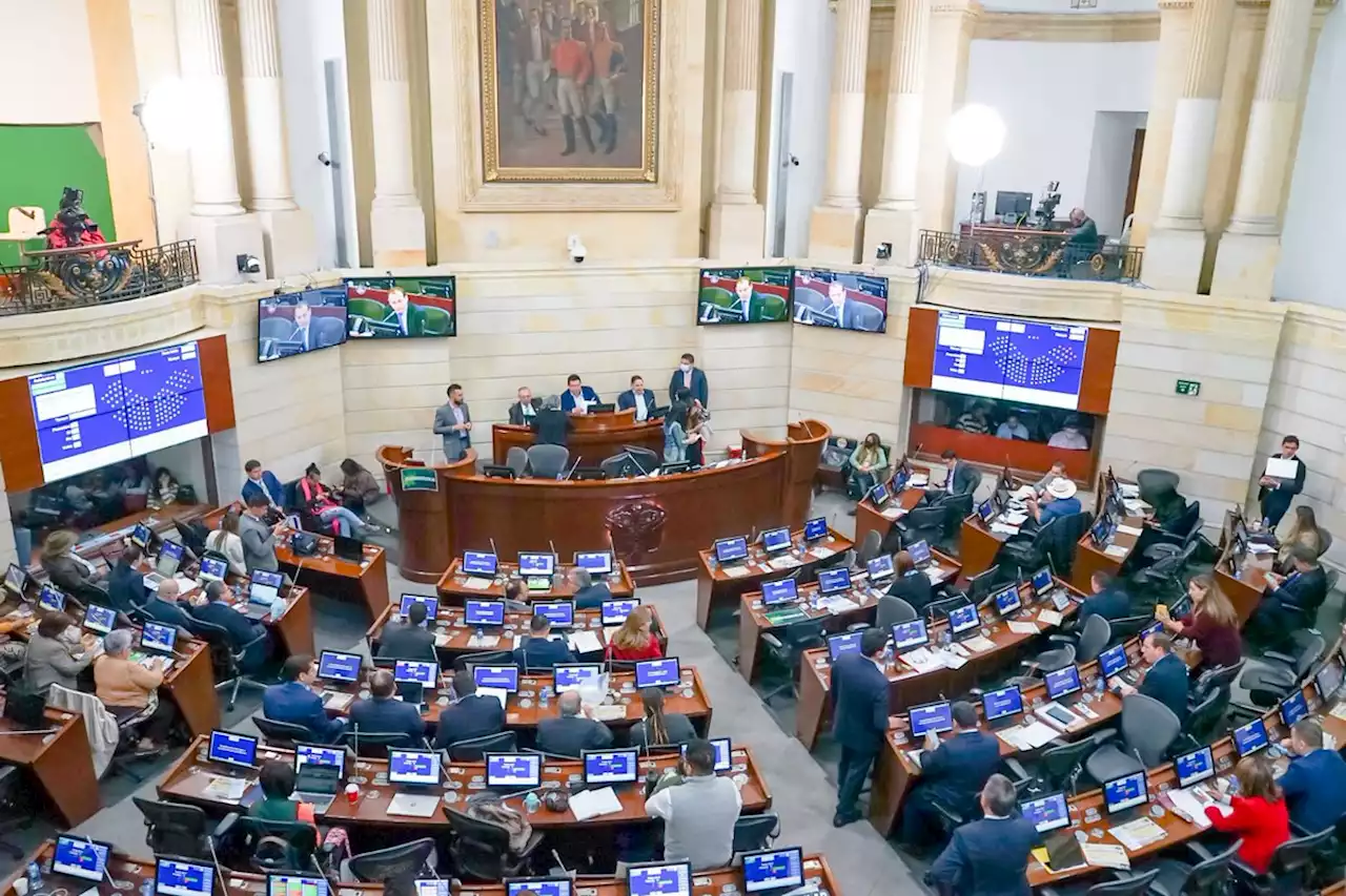 Proyecto que regula el cannabis de uso adulto supera cuarto debate por primera vez