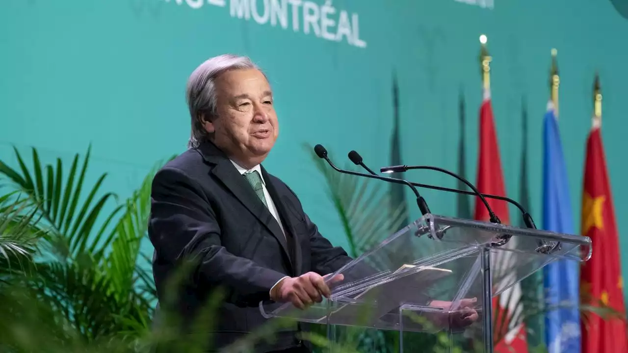 COP15: Guterres warnt vor Massenvernichtungswaffe Menschheit