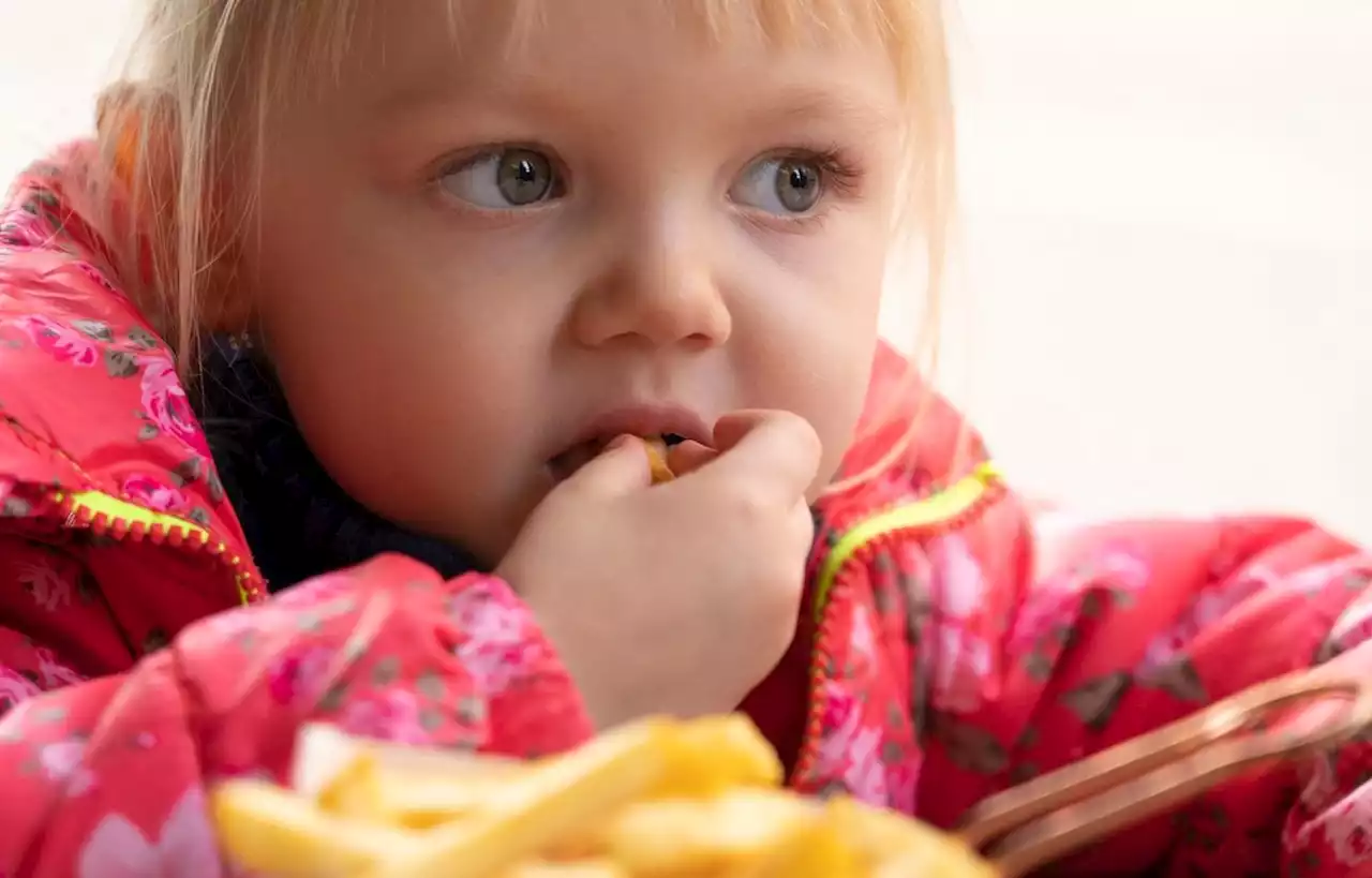 Des parents « choqués » par la fraîcheur des plats dans les cantines à Paris