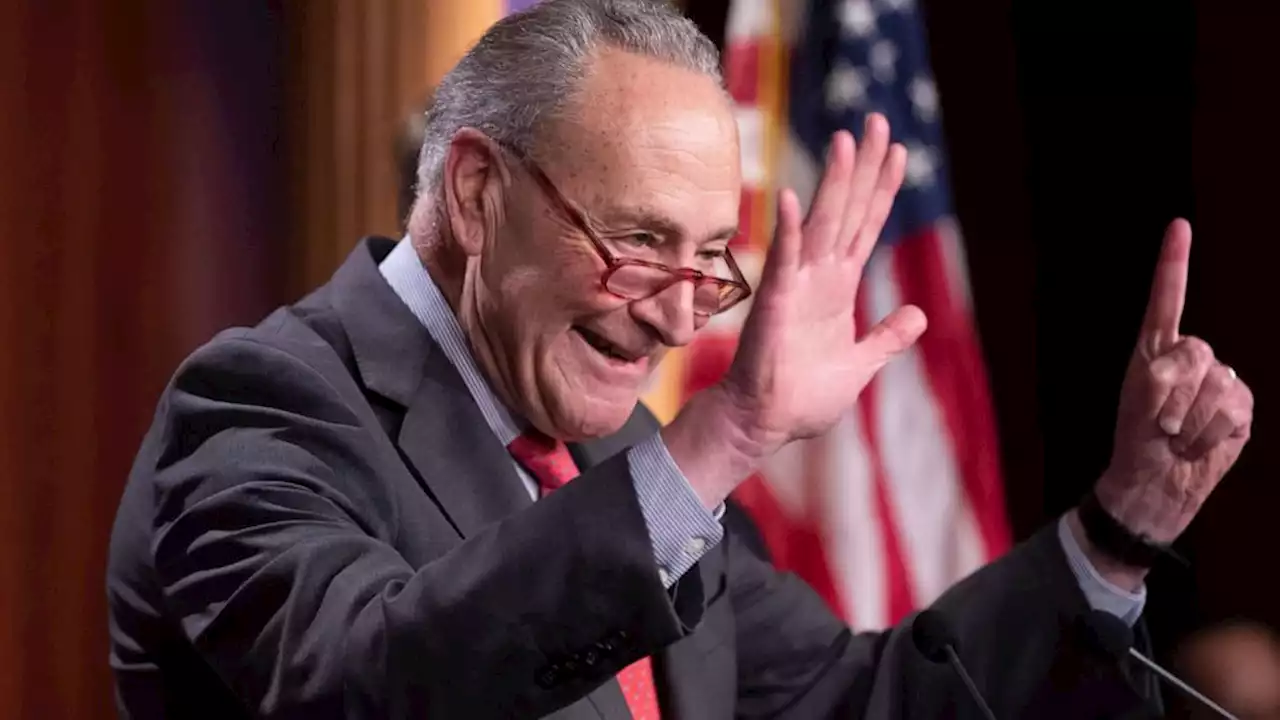 'Exuberant' Chuck Schumer on what a 51-seat majority means for Democrats