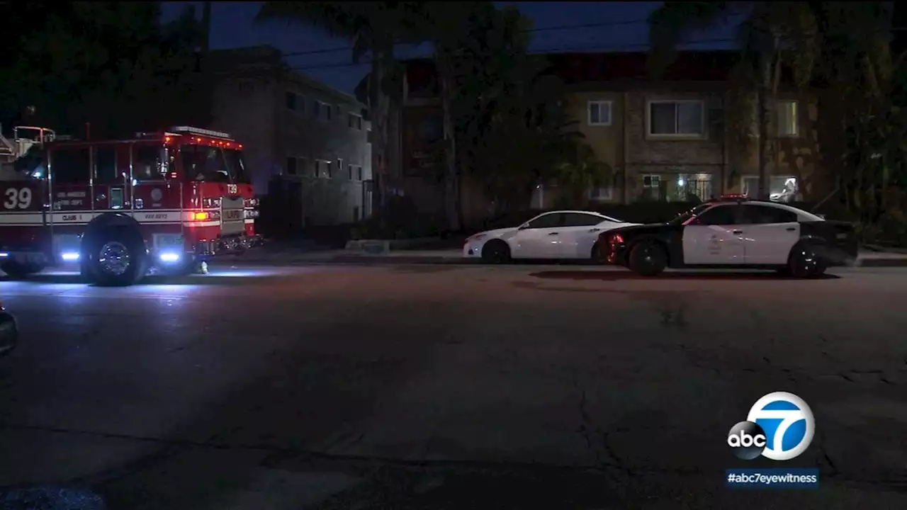 Man shot and killed before Valley Glen apartment set on fire, police say; 2 dogs dead