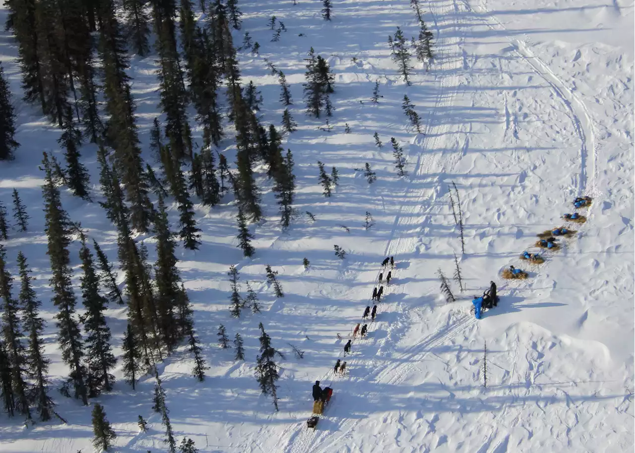 Iditarod's smallest field in race history begs the question: Why so few?