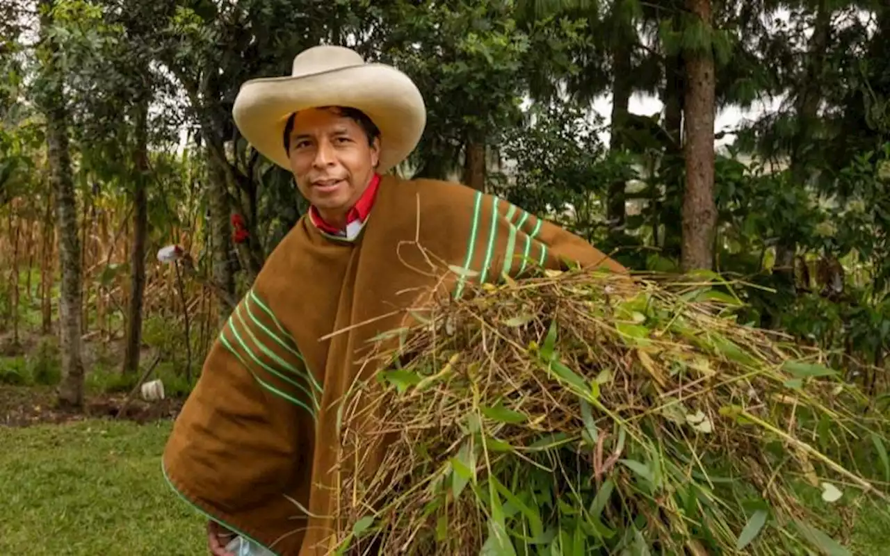 Presiden Peru Dimakzulkan dan Ditangkap Usai Bubarkan Kongres