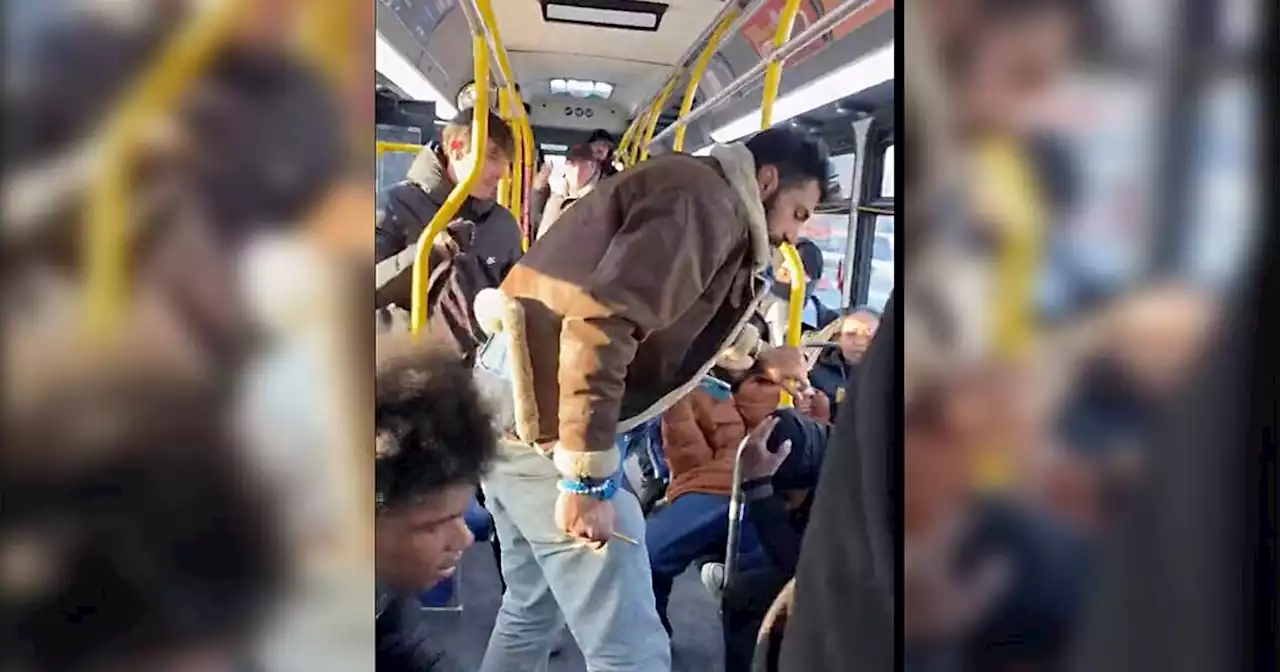 Wild video of violent assault on Mississauga bus has everyone in shock