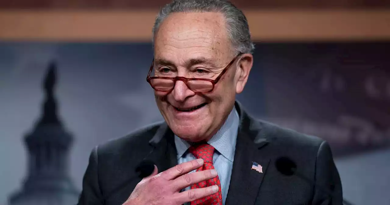 Chuck Schumer reelected Senate leader after Dems expand majority