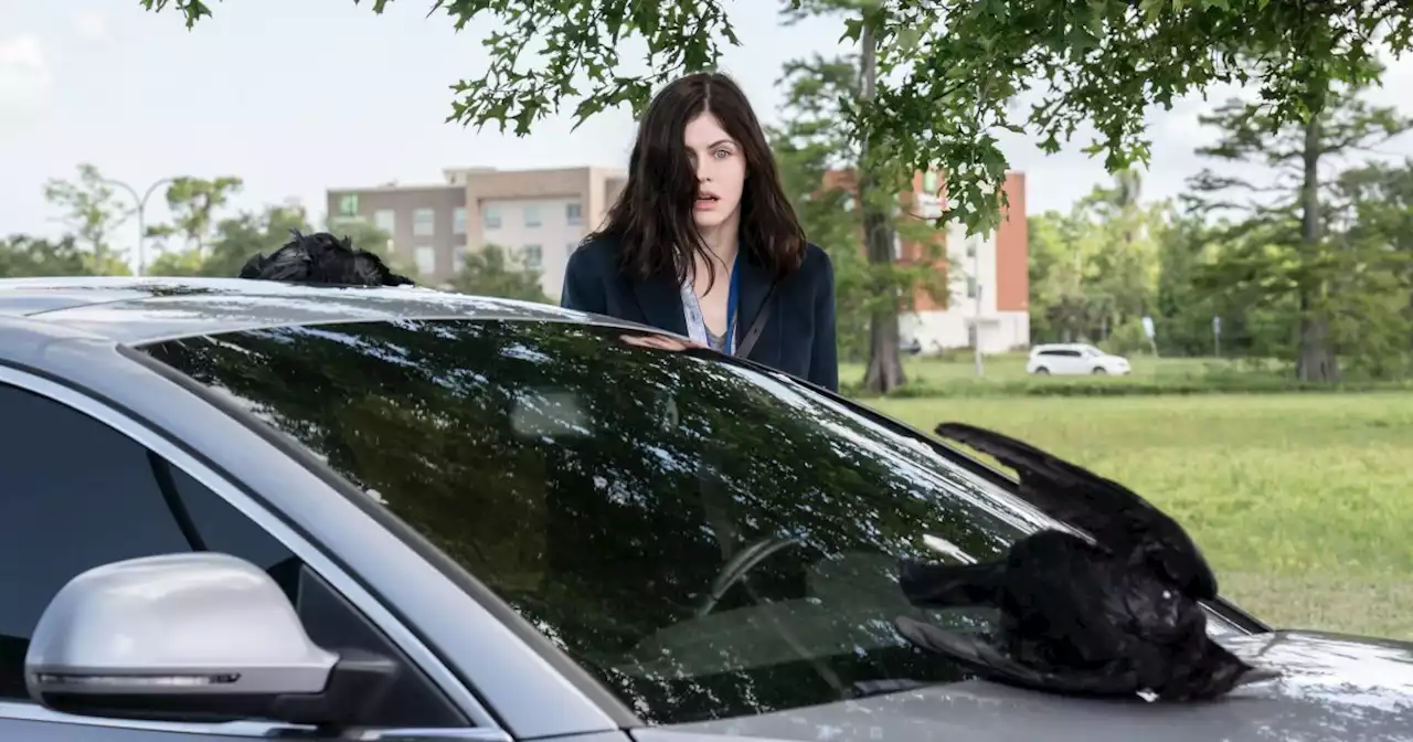 Mayfair Witches Trailer: Alexandra Daddario Unlocks Her Powers