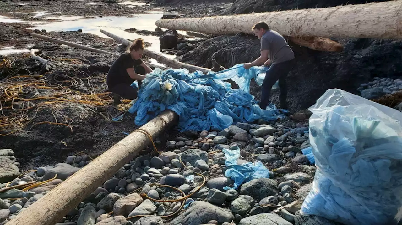 From urinal mats to unicorns, cargo from 2021 spill still washes up on B.C. shores