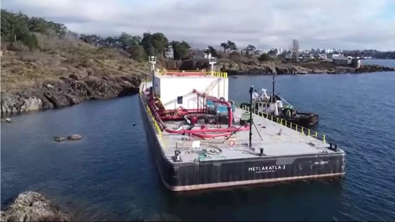 No timeline to remove beached barge from Victoria waterfront: Transport Canada