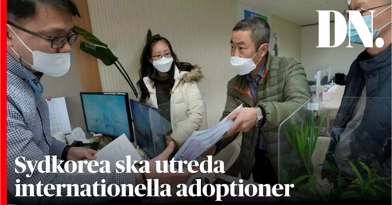 Sydkorea ska utreda internationella adoptioner