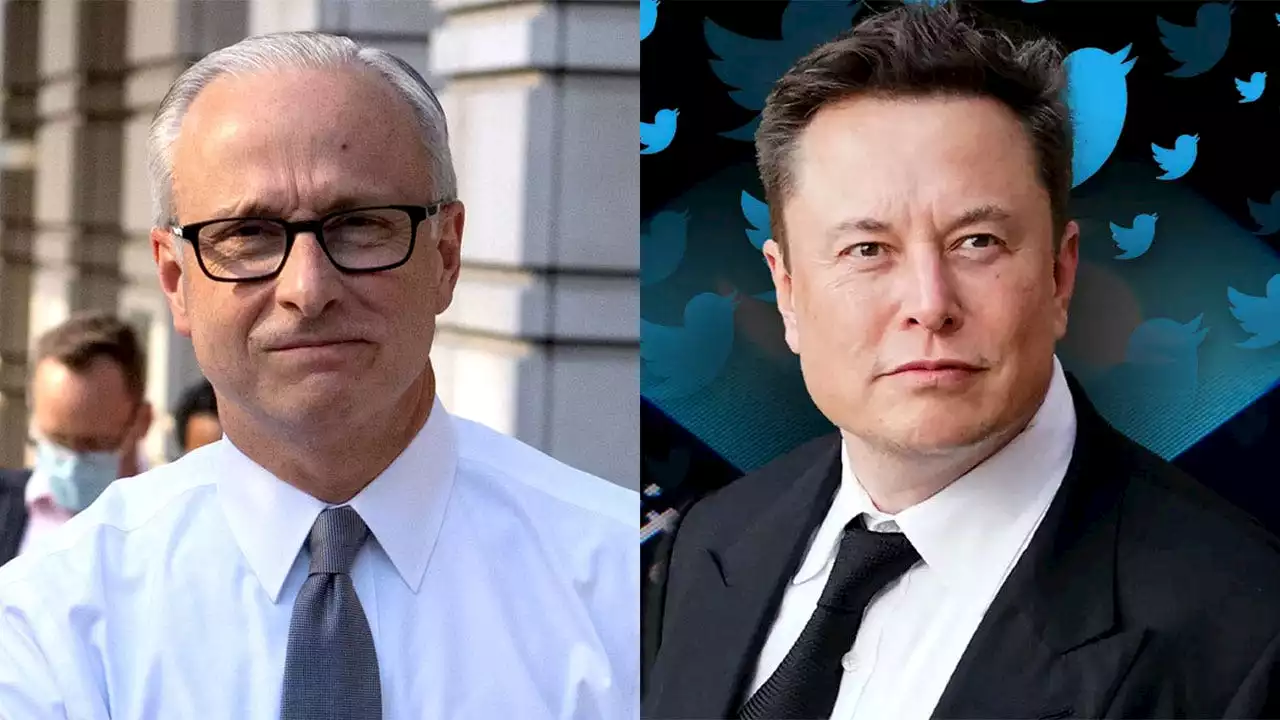 Liberals grouch over Musk firing controversial Twitter lawyer: 'Desperate and dumb,' not a 'scandal'