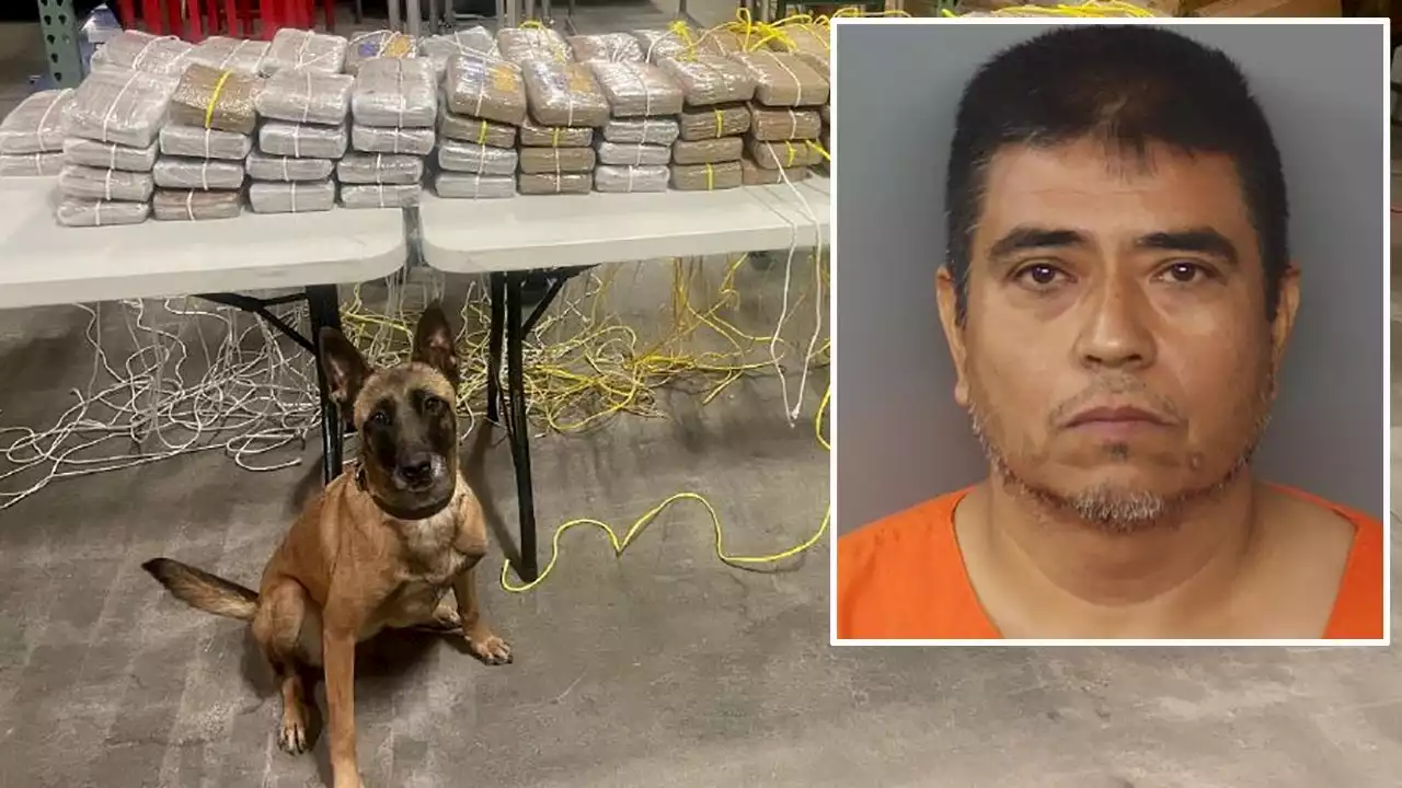 Texas man busted hauling $13M in cocaine through Indiana in record seizure, authorities say