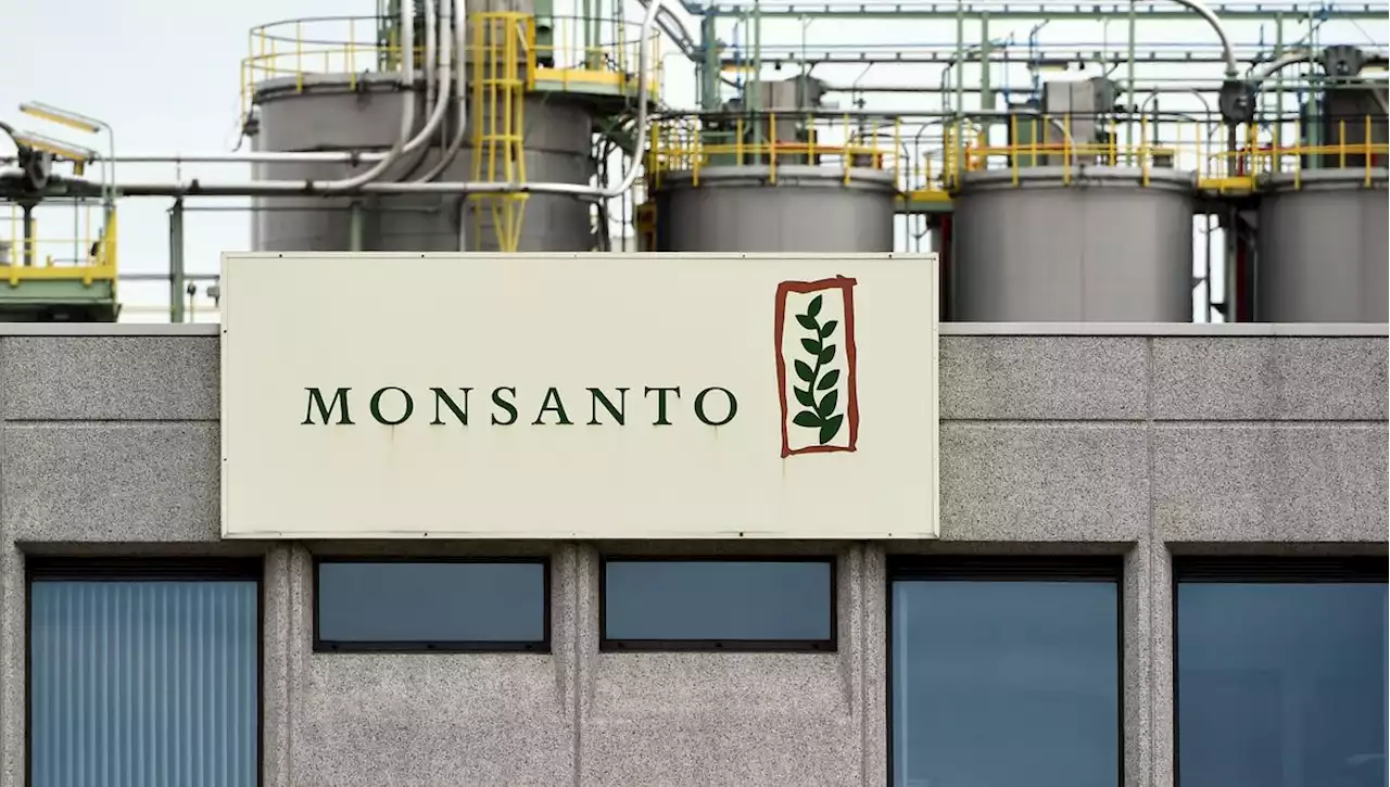 Le géant Bayer-Monsanto condamné à indemniser 11.135 euros à l’agriculteur Paul François